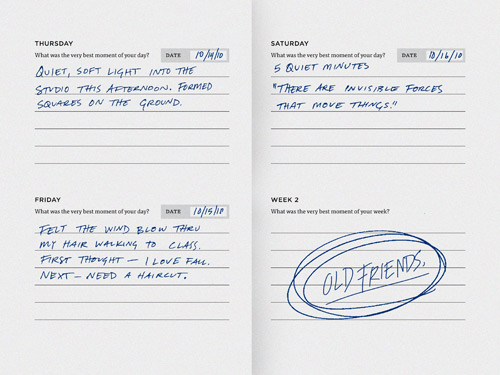 The being there diary