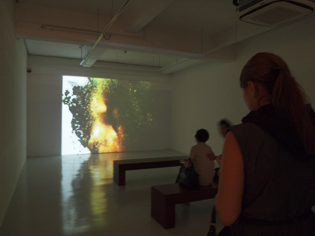 People watching Bloomy Girls People watching Bloomy Girls