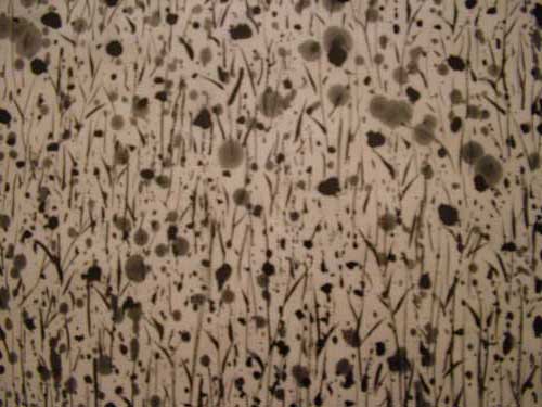 Singapore Biennale 2011 Singapore Biennale 2011