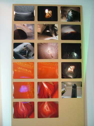 Singapore Biennale 2011 Singapore Biennale 2011